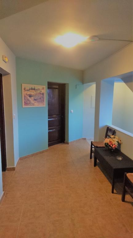 Doras Zante Studios & Apartments Argassi Bagian luar foto
